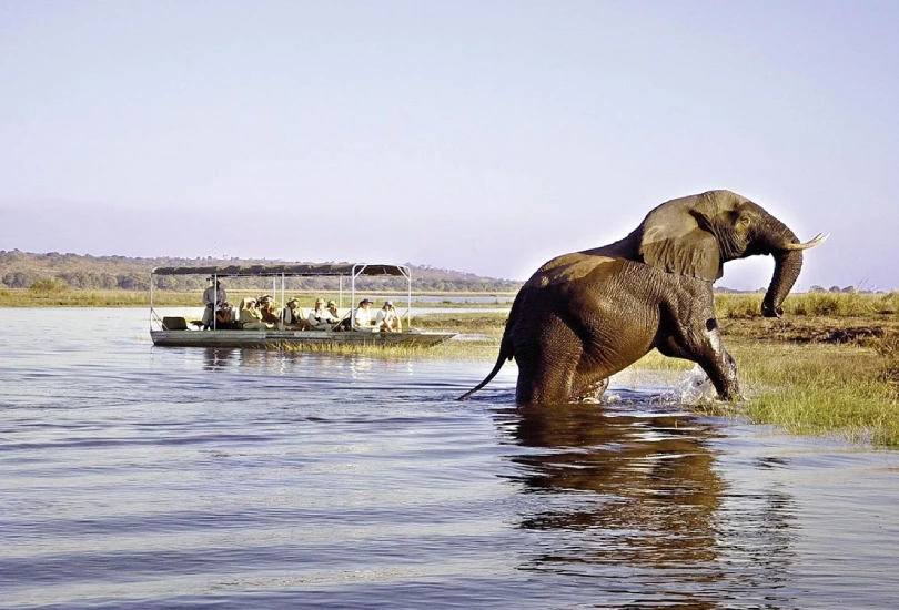 botswana-3