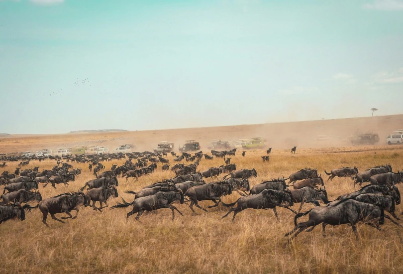 kenya-4