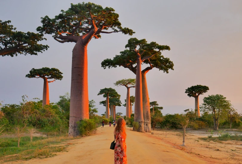 madagascar-4