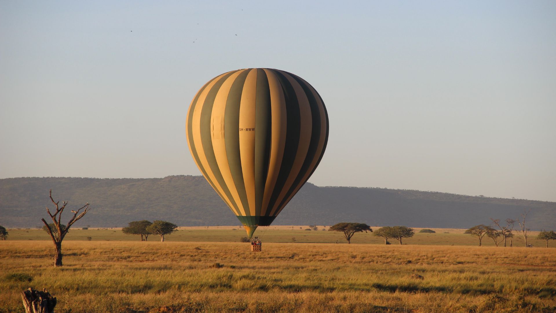 tanzania-balloon-safari