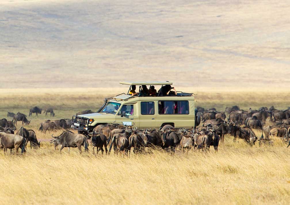 Serengeti-National-Park-2