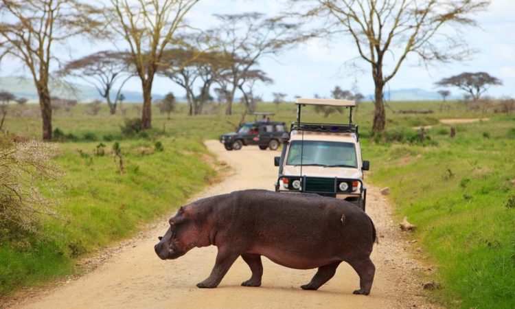 5-Days-Serengeti-Safaris-750×450-1-1
