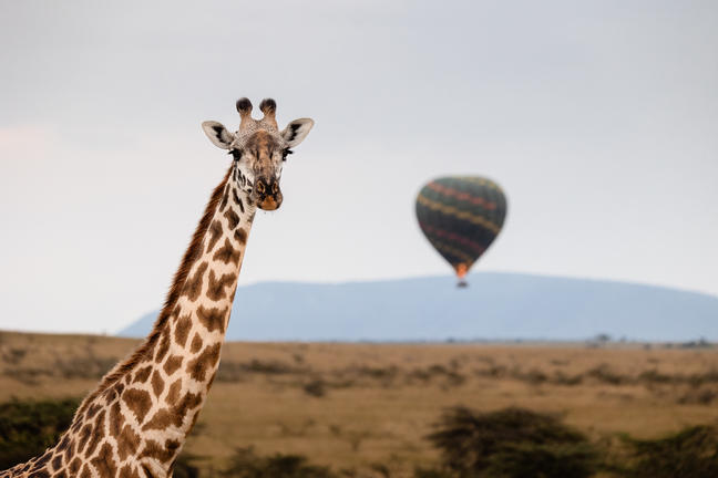 1760554229694hot-air-balloon